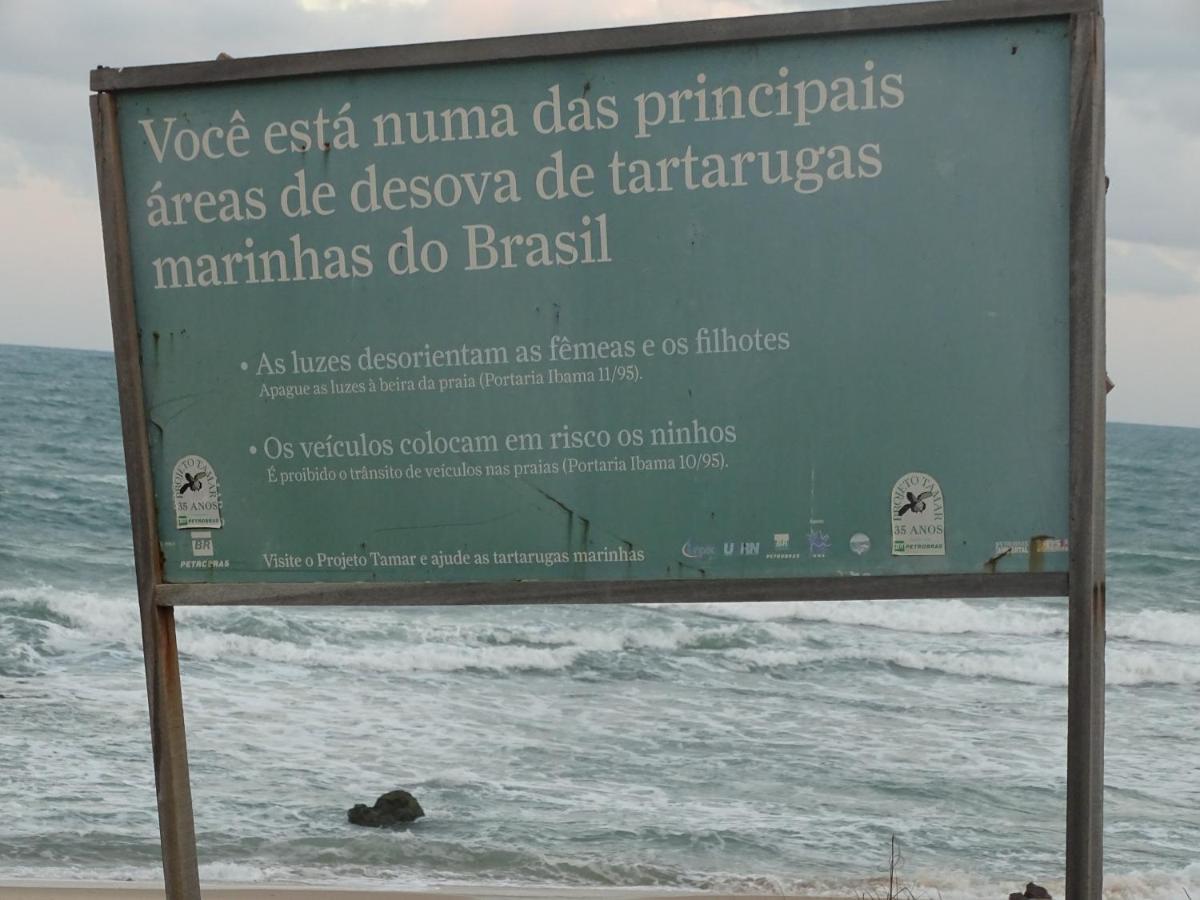 Hostel Terra Viva Praia de Pipa Экстерьер фото
